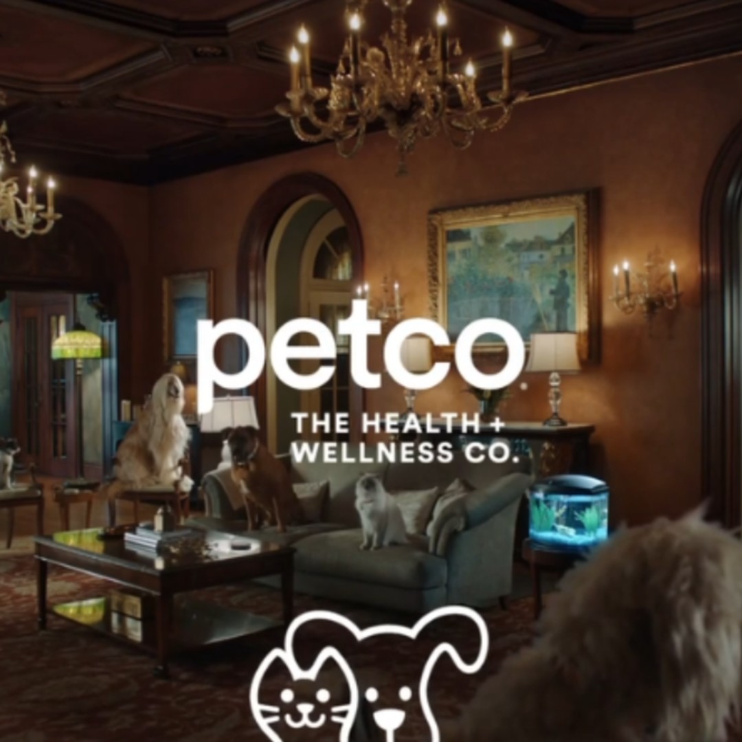 Talent × Petco